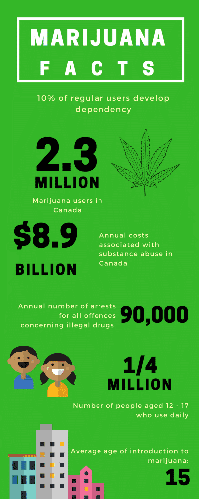 Infographics of Marijuana Facts.
