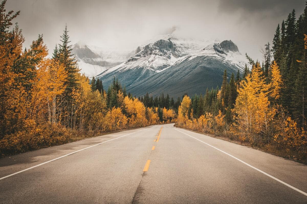 A photo of the road to Calgary, Alberta, Canada.
